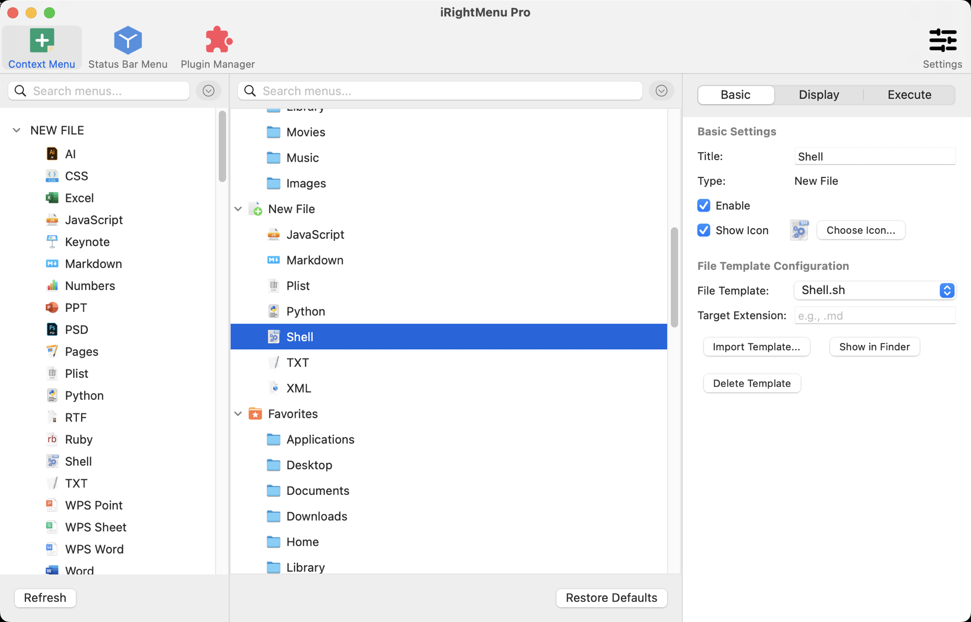 The File Template Configuration section of a New File item
